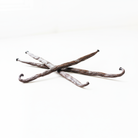 Three vanilla beans on pure white