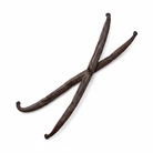 Two vanilla beans on pure white