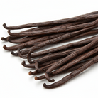 Vanilla bean bundle on white background