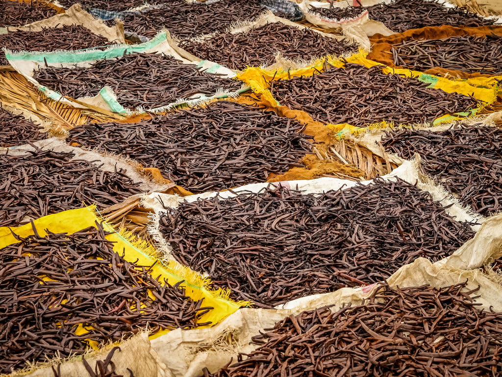 Madagascar Vanilla Beans - Grade B - Extract Grade