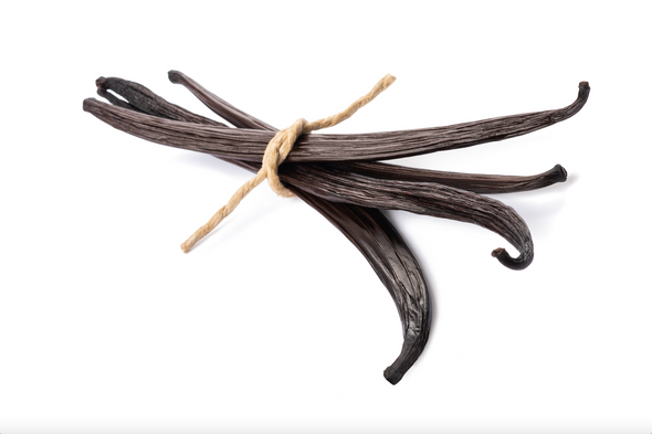 Group Buy Bourbon Vanilla Extract Making Starter Kit - 8oz
