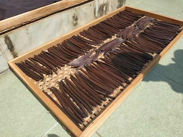 Group Buy The Huahine - Tahitian Vanilla Beans - For Extracts and Baking (Grade A)