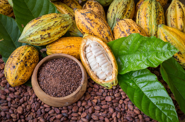 Group Buy The Lima - Gourmet Cacao Nibs From Peru - For Extracts & Baking
